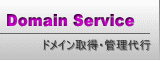 Domain Service